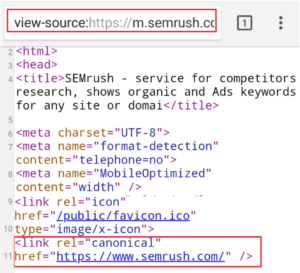 Canonical URL Code Example 